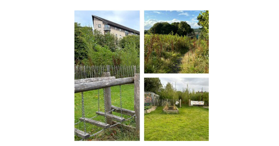 Wee Forests, NatureScot, University of Dundee,